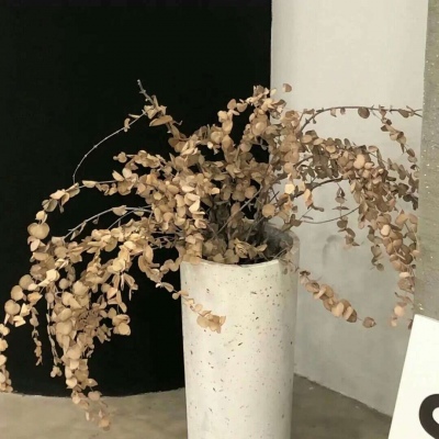 Furry插画风格打造兽圈群